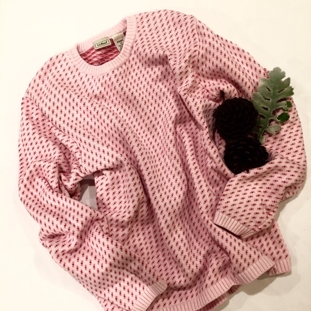 🎉Host pick 6/29!🎉Vintage L.L. Bean Sweater
